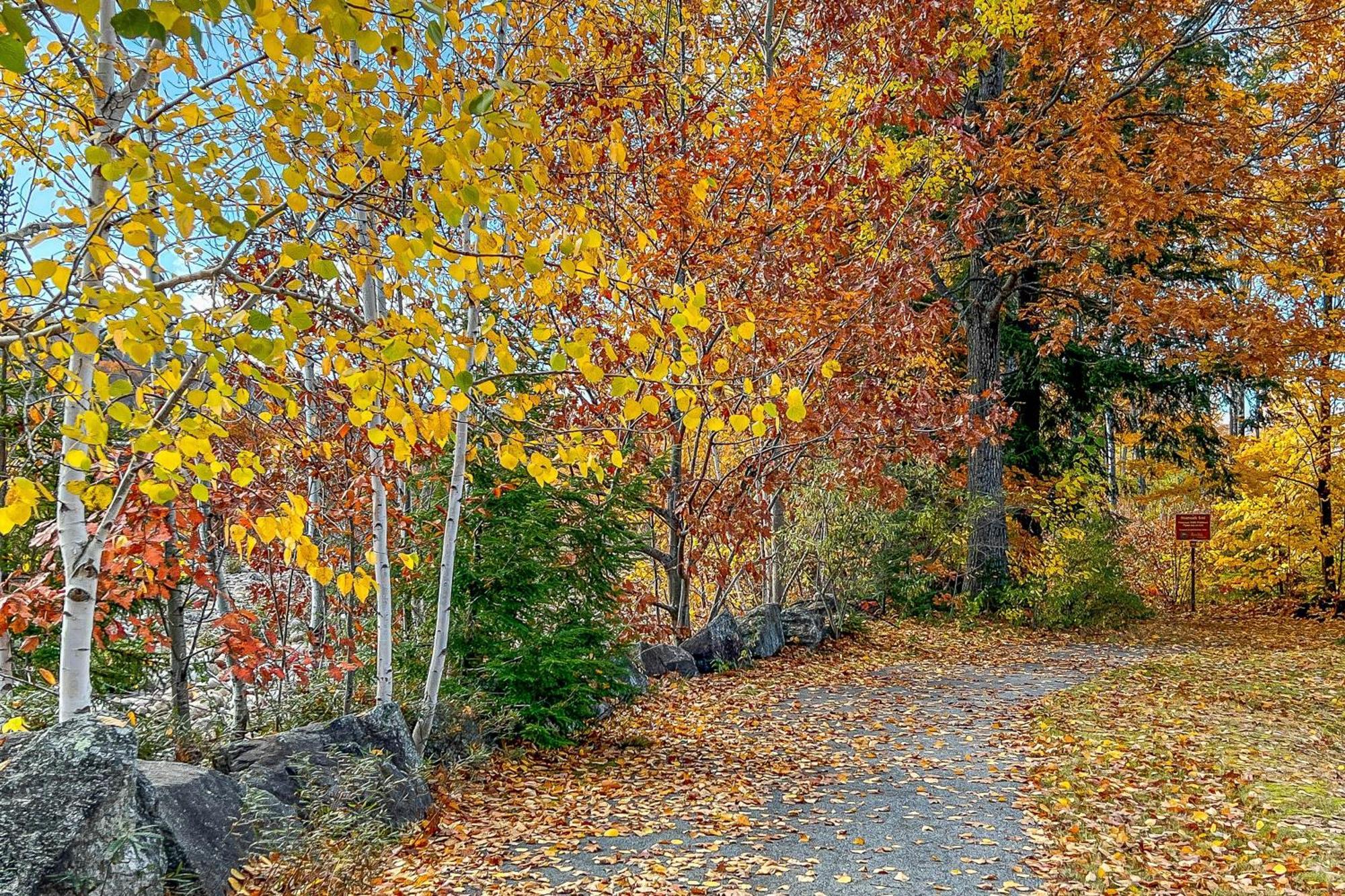 Autumn Colors Condo At Rivergreen リンカーン エクステリア 写真